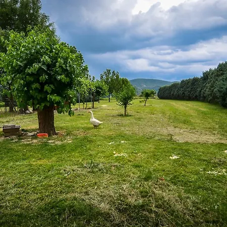 Holiday home Domaine Moulin Thoulouzes Grospierres