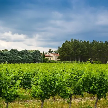 Holiday home Domaine Moulin Thoulouzes Grospierres